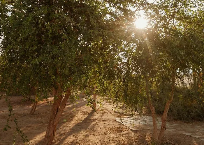 Wadi Sabarah Abu Dabab